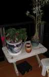 602 Montara Way Estate Sale Item Pic